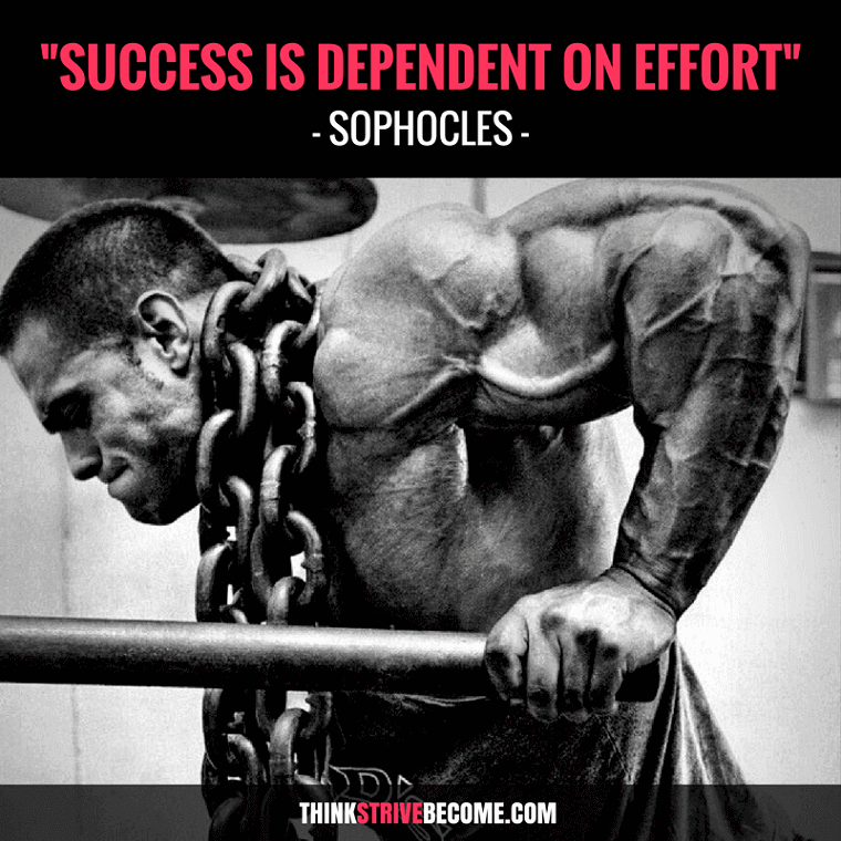 Success is dependent on Effort Quote