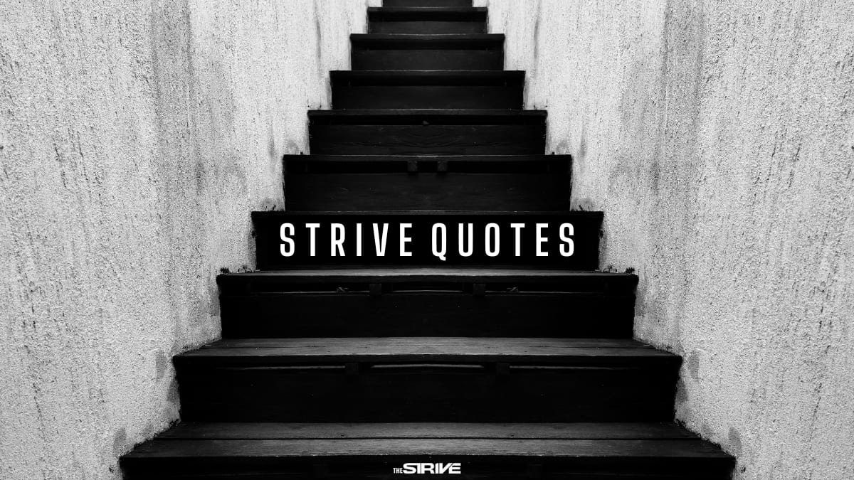 Strive For The Best Quotes