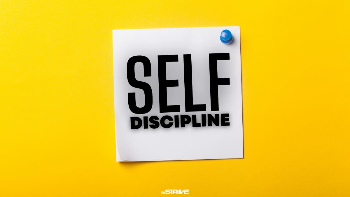 The Importance of Self-Discipline For Success - The STRIVE