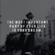 100+ Steve Harvey Quotes About Life and Success - The STRIVE