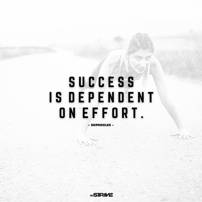 Success and Effort Quote