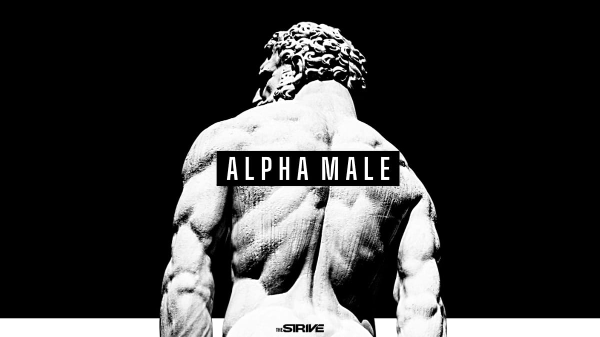 Alpha Male Quotes