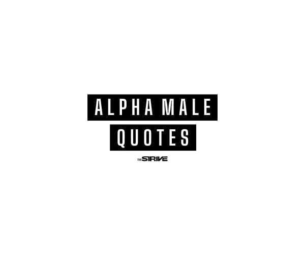 Best Alpha Male Quotes