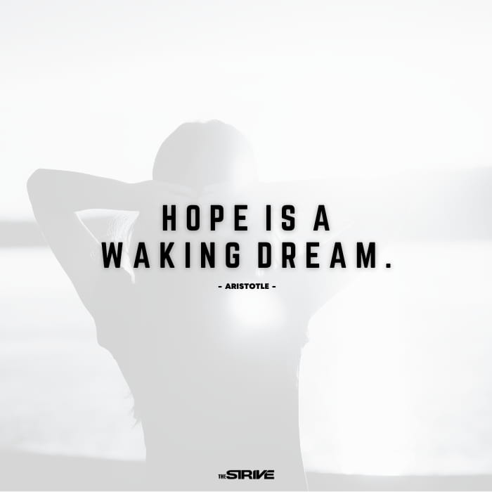 Hope is a waking dream quote