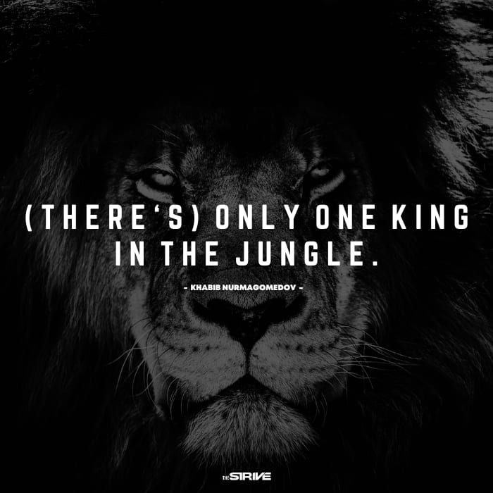 Badass Alpha Male Quote Nurmagomedov