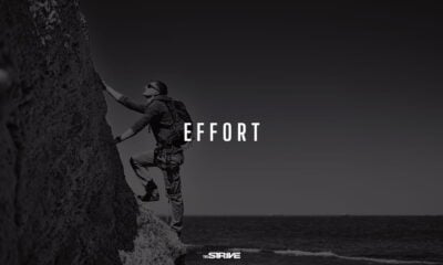 best effort quotes