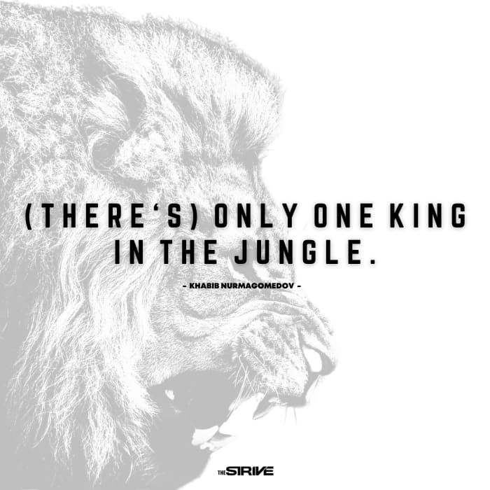 Khabib Net Worth Quote