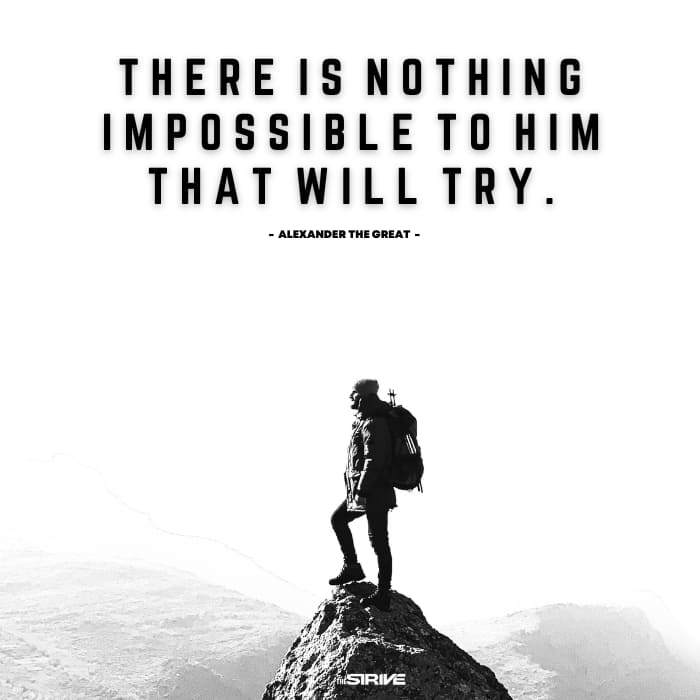 daily motivational quote