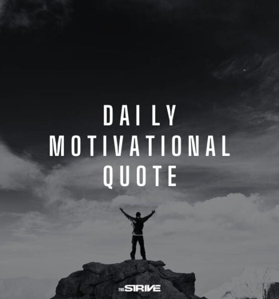 daily motivational quote