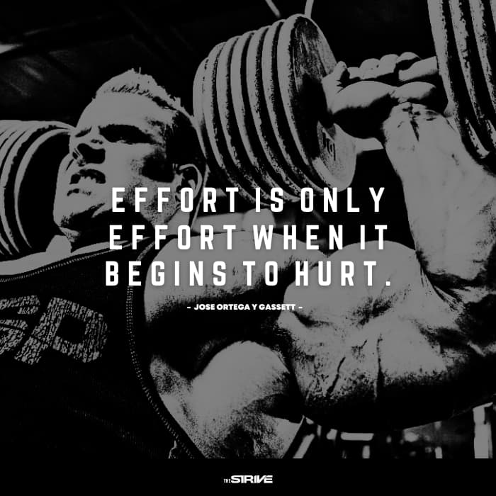 daily motivational quote