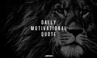 daily motivational quote
