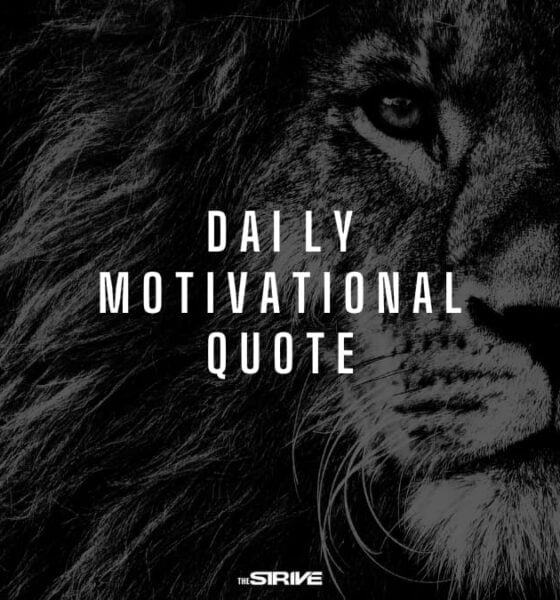 daily motivational quote
