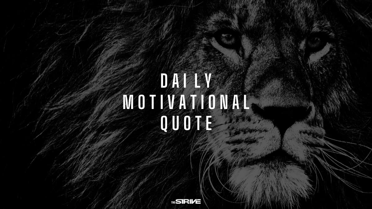 daily motivational quote