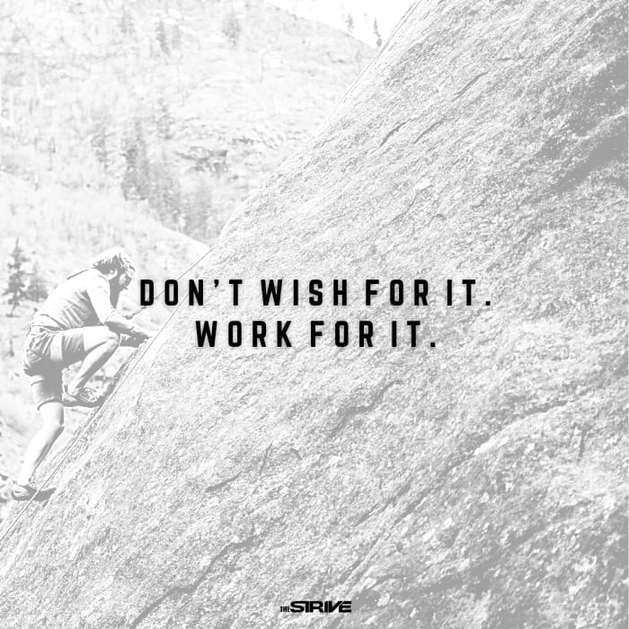 daily motivational quote