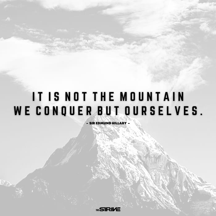 daily motivational quote