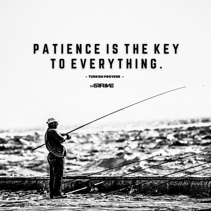 daily motivational quote