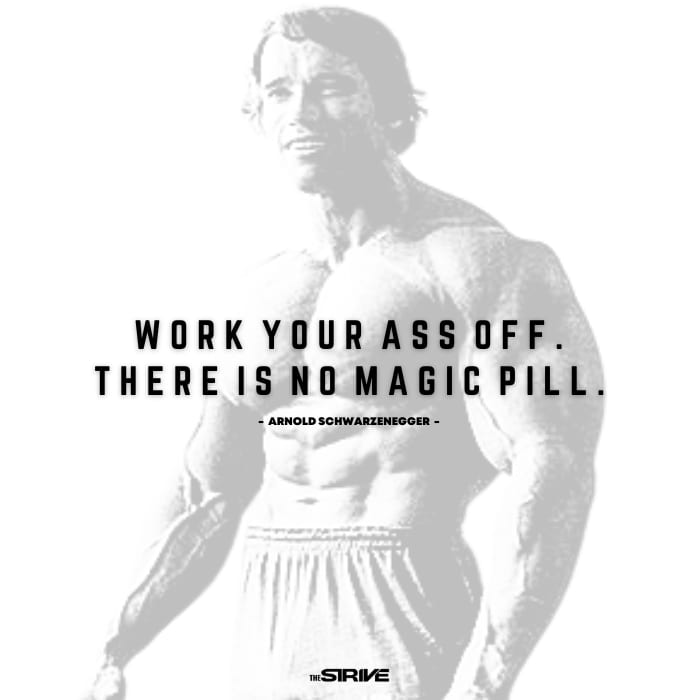 arnold schwarzeneggar success story quote